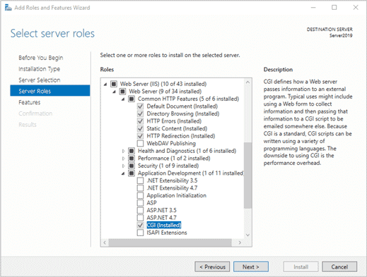 Install CGI in IIS